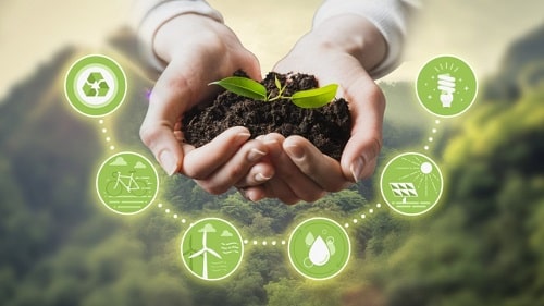 DESARROLLO SUSTENTABLE VERANO 2025